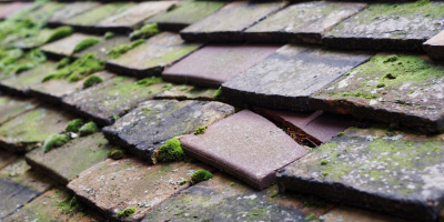 Ciliau Aeron roof repair costs